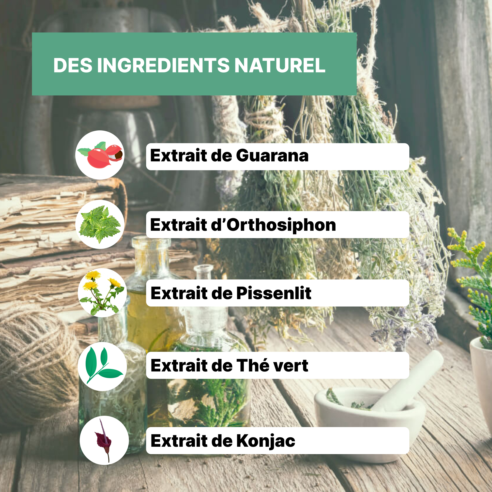 Elixir - Minceur