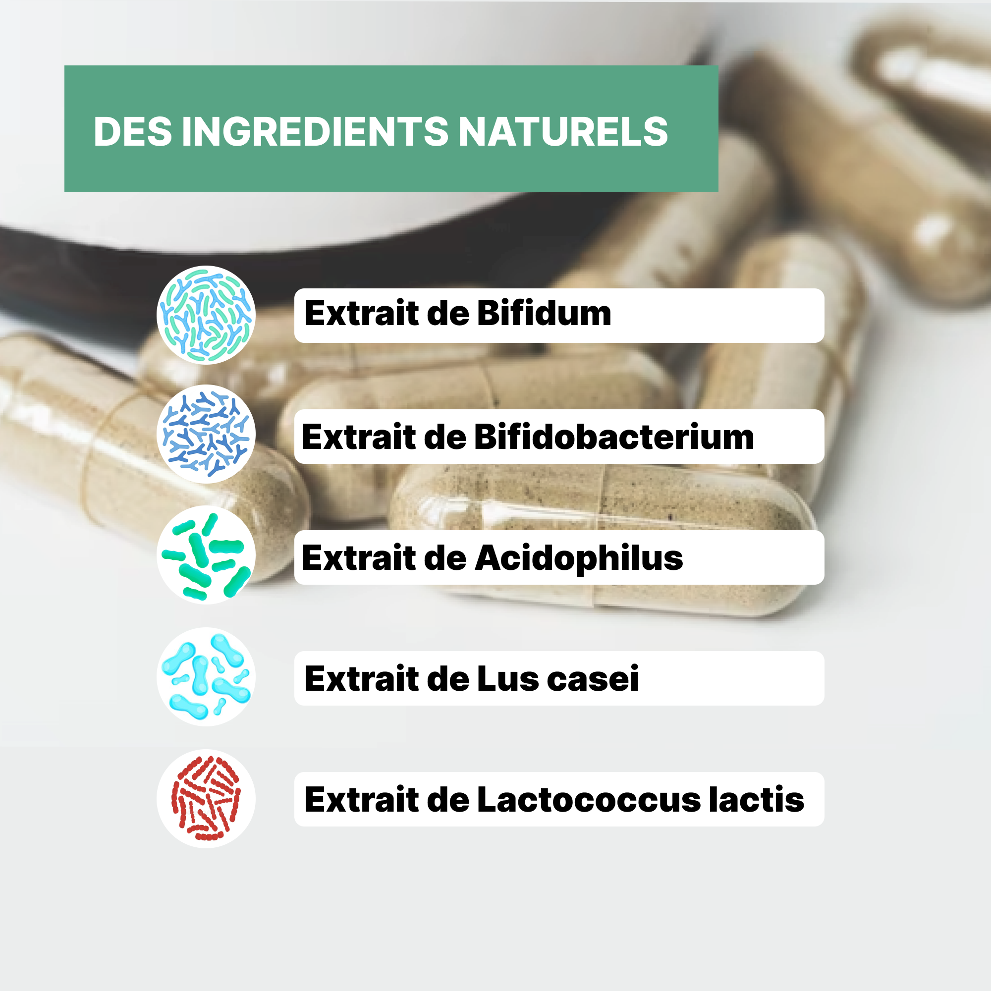 Probiotiques