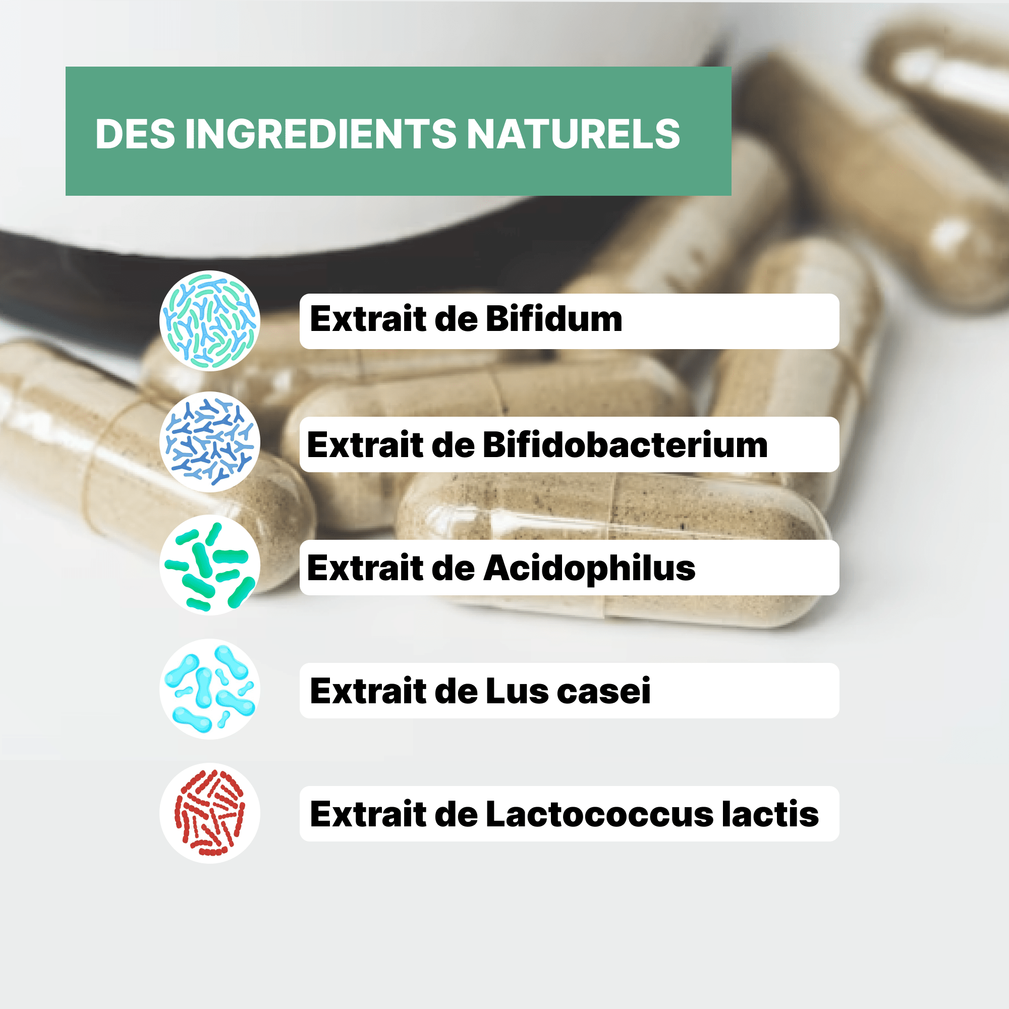 Complexe Probiotiques - Officine Immortelle