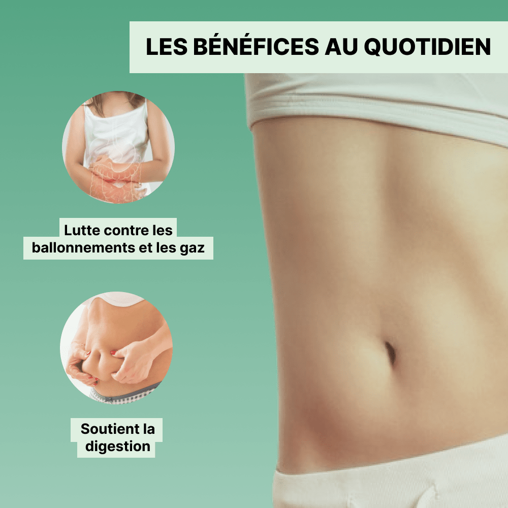 Complexe Ventre Plat - Officine Immortelle