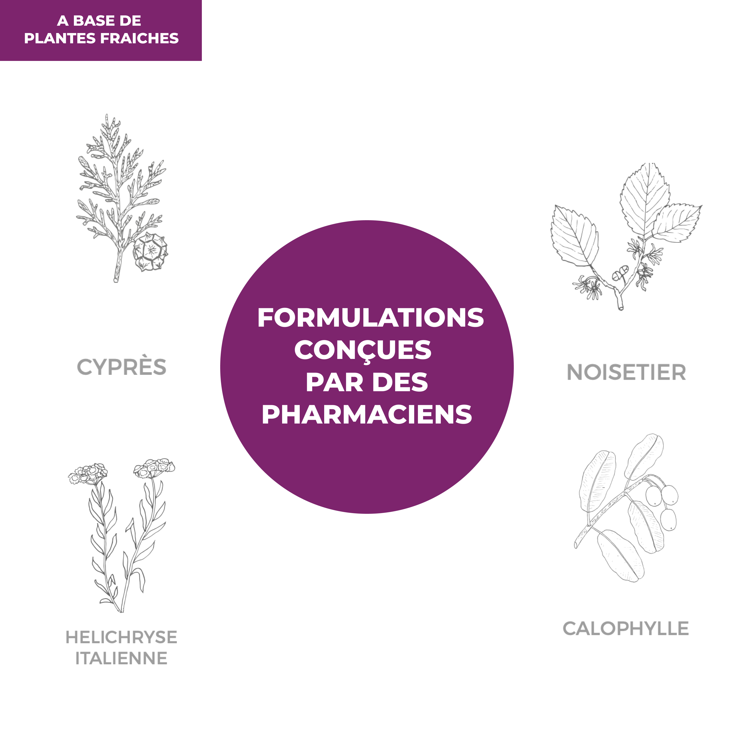 Complexe d'Huiles Essentielles - Ménopause