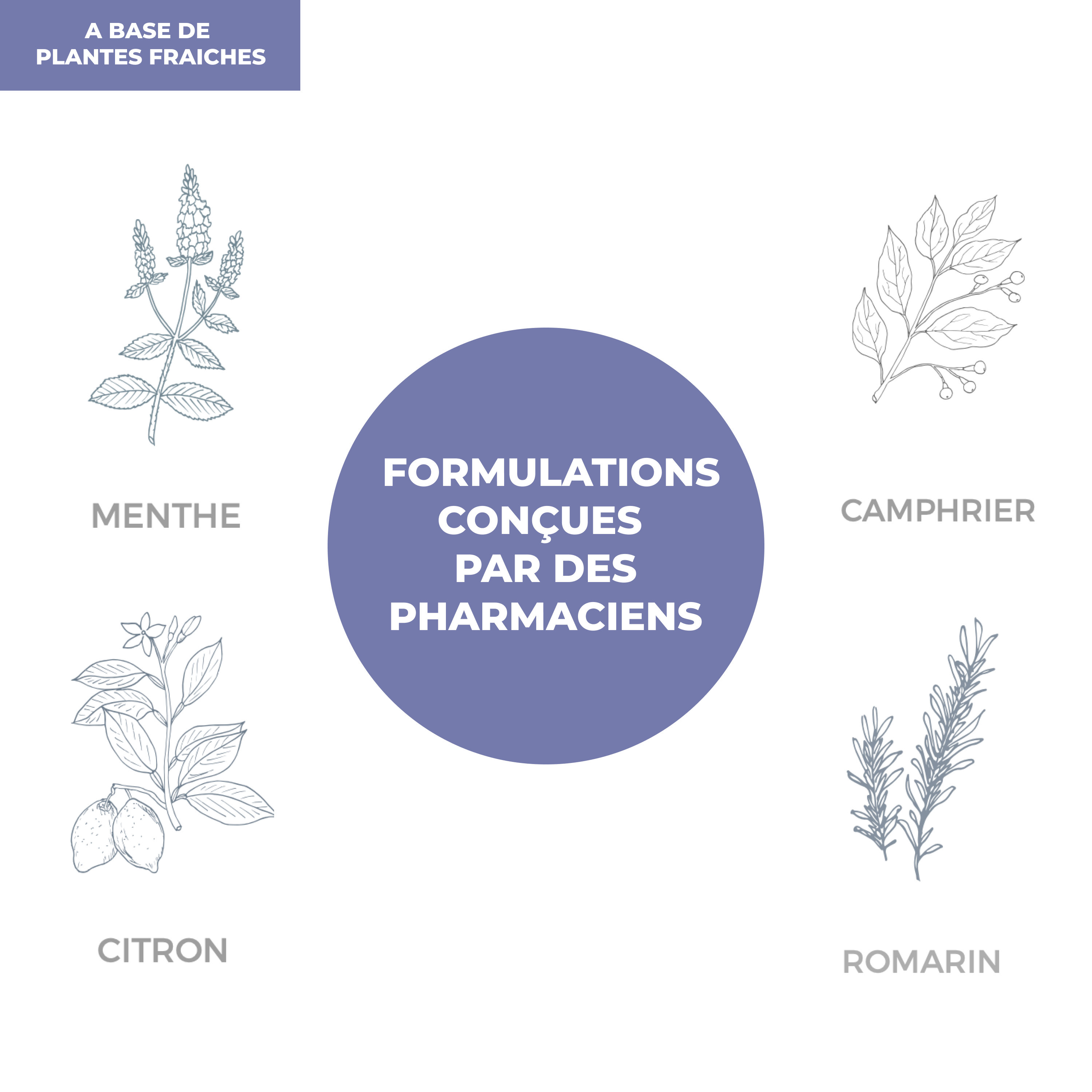 Complexe d'Huiles Essentielles pour diffusion - Air Sain