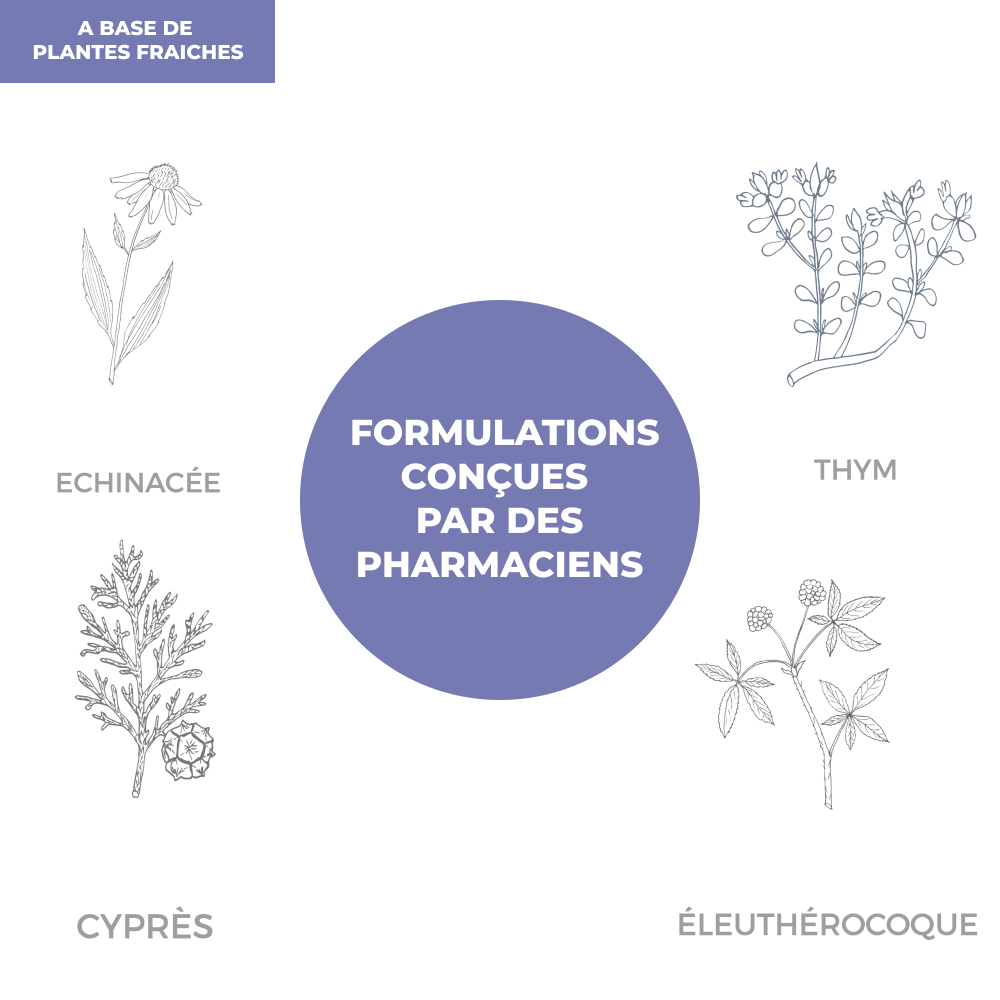 Elixir - Immunité