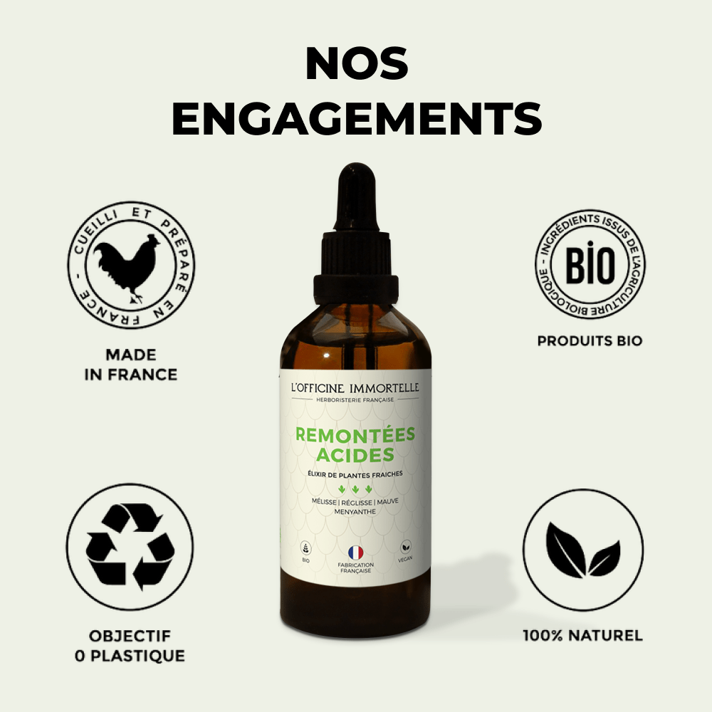 Elixir - Remontées Acides - Officine Immortelle