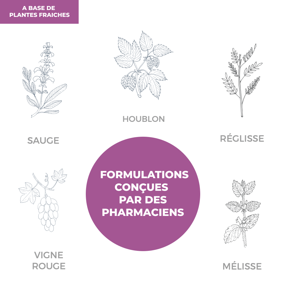 Tisane - Ménopause - Officine Immortelle