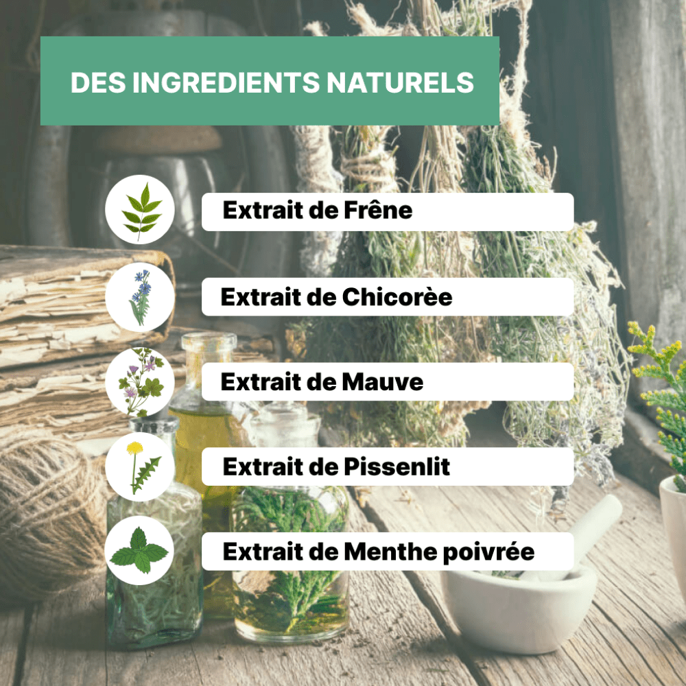 Tisane Merveilleuse - Ventre plat - Officine Immortelle