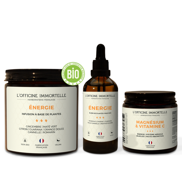 Synergie Energie